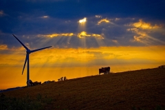 Farm on the Beacon - Photo Jon Durrant