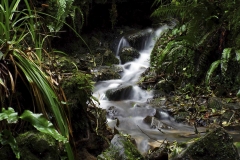 Harridge Woods - Photo Jon Durrant