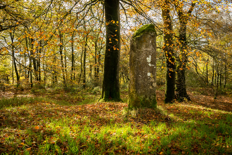 Beacon Hill at Somerset